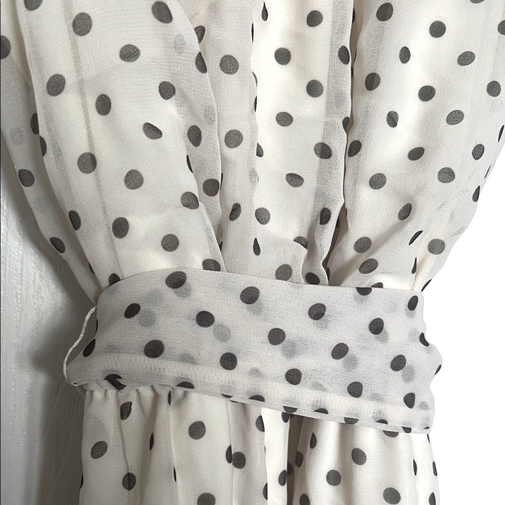 Anthropologie Staci Frati Sweet Pea Polka Dress - Black and Cream size Medium - Picture 12 of 12